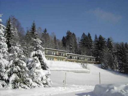 Ferienwohnung Birkenhof - Schimek Bürserberg Exterior foto